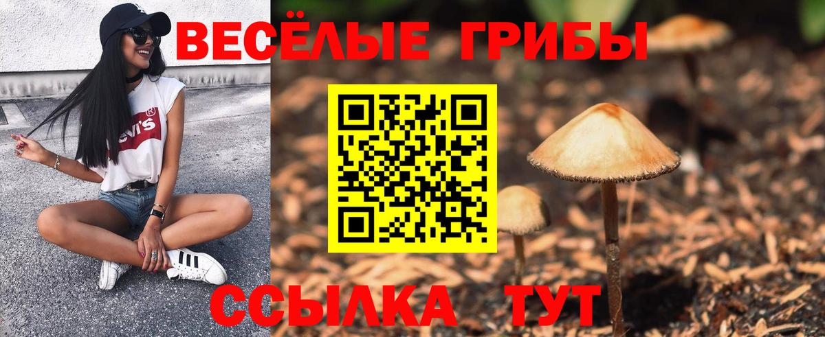 Псилоцибиновые грибы мухоморы  даркнет сайт  Чернушка  Вход с VPN 